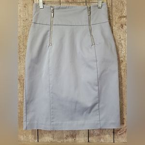 Knee Length Straight Skirt